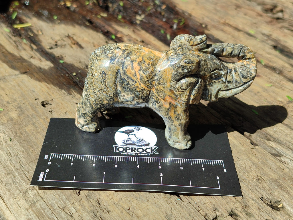 Polished Snakeskin Rhyolite Jasper Elephant Carving - sold per item - From Australia - Toprock Gemstones and Minerals 