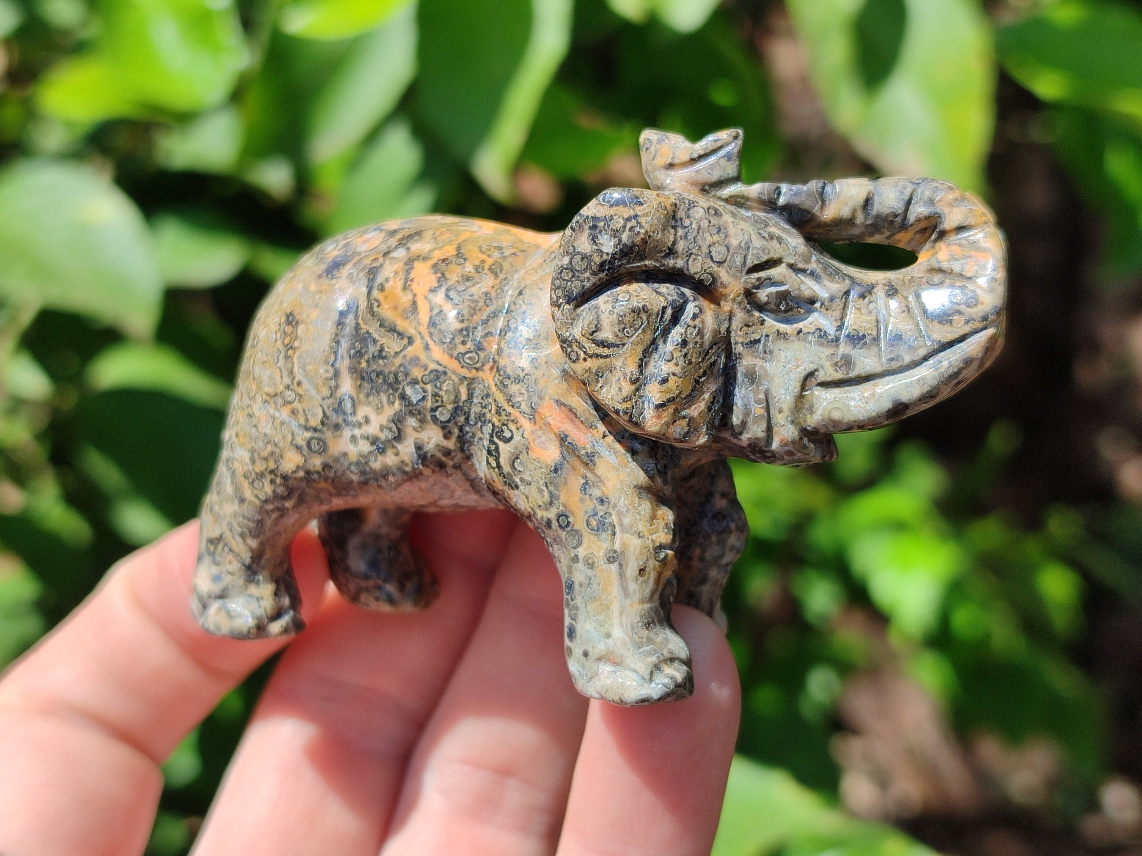 Polished Snakeskin Rhyolite Jasper Elephant Carving - sold per item - From Australia - Toprock Gemstones and Minerals 