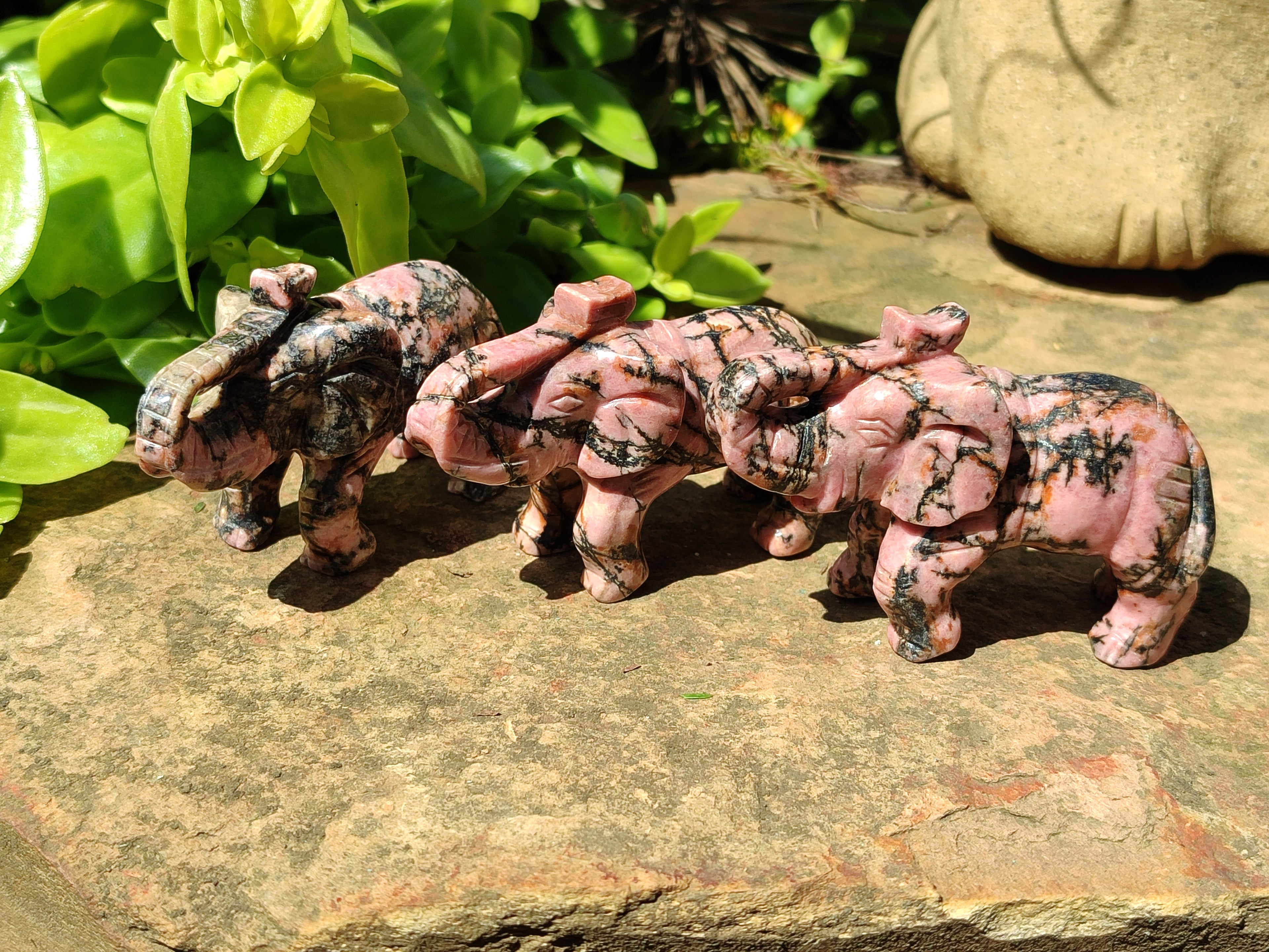 Polished Rhodonite Pink Elephant Carving - sold per item - From Madagascar - Toprock Gemstones and Minerals 