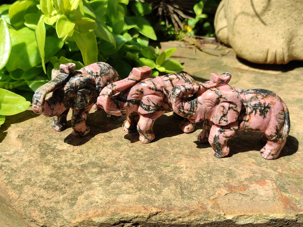 Polished Rhodonite Pink Elephant Carving - sold per item - From Madagascar