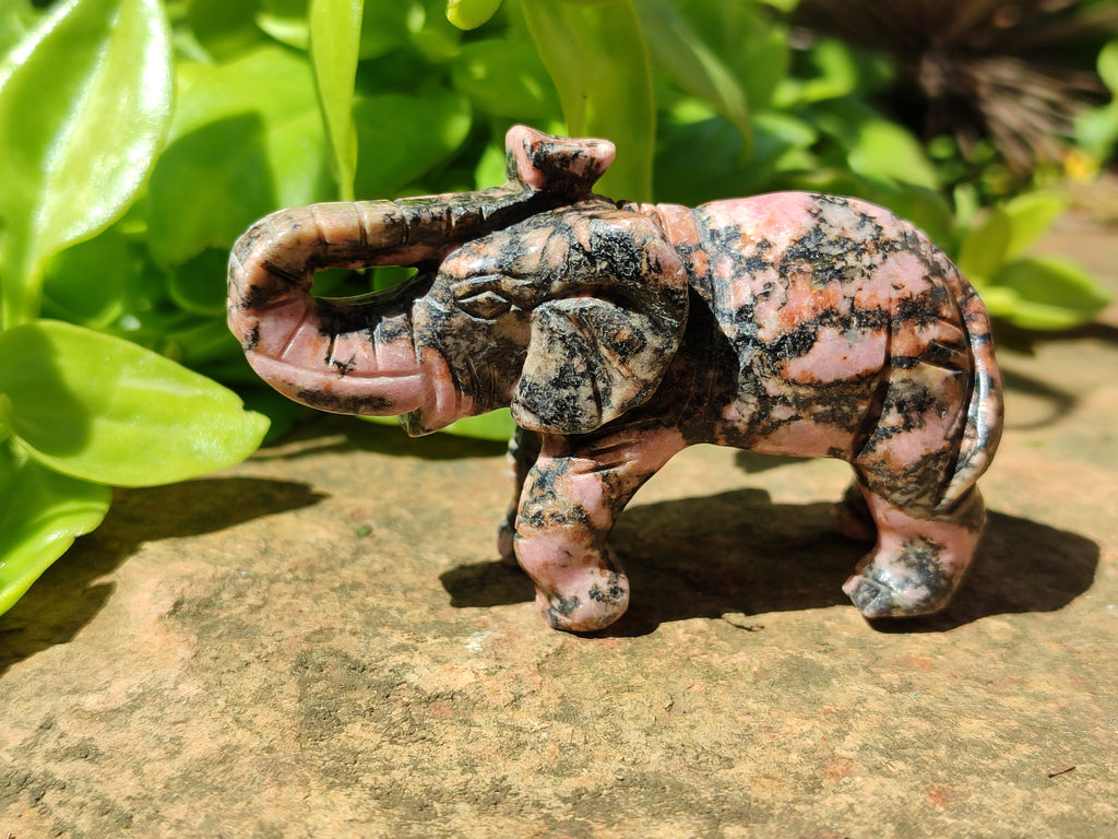 Polished Rhodonite Pink Elephant Carving - sold per item - From Madagascar - Toprock Gemstones and Minerals 