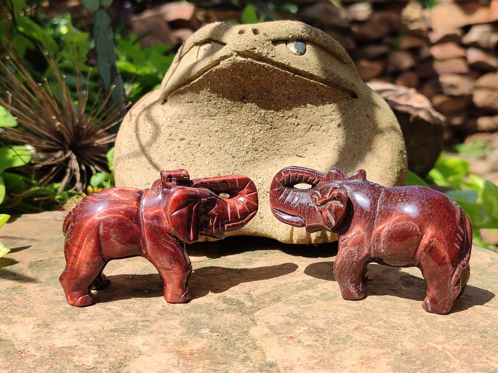Polished Red Tigers Eye Elephant Carvings - sold per item - From South Africa - Toprock Gemstones and Minerals 