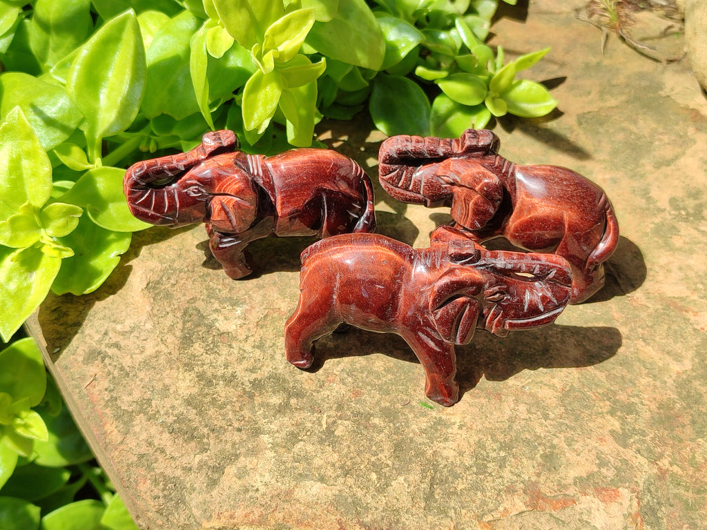 Polished Red Tigers Eye Elephant Carvings - sold per item - From South Africa - Toprock Gemstones and Minerals 