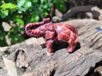 Polished Red Tigers Eye Elephant Carvings - sold per item - From South Africa - Toprock Gemstones and Minerals 