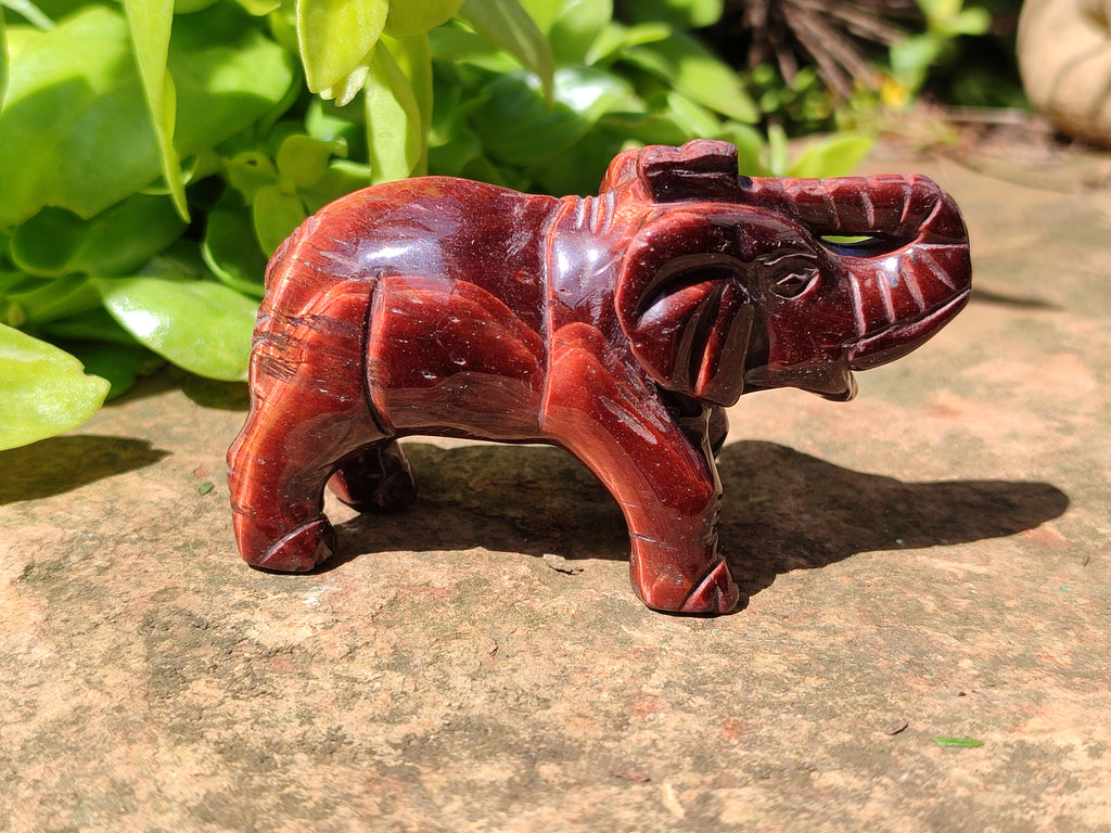 Polished Red Tigers Eye Elephant Carvings - sold per item - From South Africa - Toprock Gemstones and Minerals 