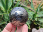 Polished Pharaoh Stone Spheres x 6 From Zimbabwe - Toprock Gemstones and Minerals 