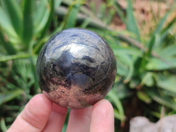 Polished Pharaoh Stone Spheres x 6 From Zimbabwe - Toprock Gemstones and Minerals 