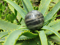 Polished Pharaoh Stone Spheres x 6 From Zimbabwe - Toprock Gemstones and Minerals 