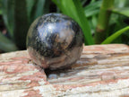 Polished Pharaoh Stone Spheres x 6 From Zimbabwe - Toprock Gemstones and Minerals 