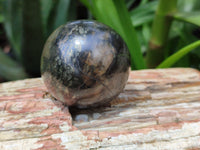 Polished Pharaoh Stone Spheres x 6 From Zimbabwe - Toprock Gemstones and Minerals 