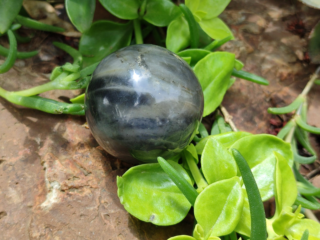 Polished Pharaoh Stone Spheres x 6 From Zimbabwe - Toprock Gemstones and Minerals 