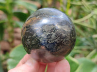 Polished Pharaoh Stone Spheres x 6 From Zimbabwe - Toprock Gemstones and Minerals 