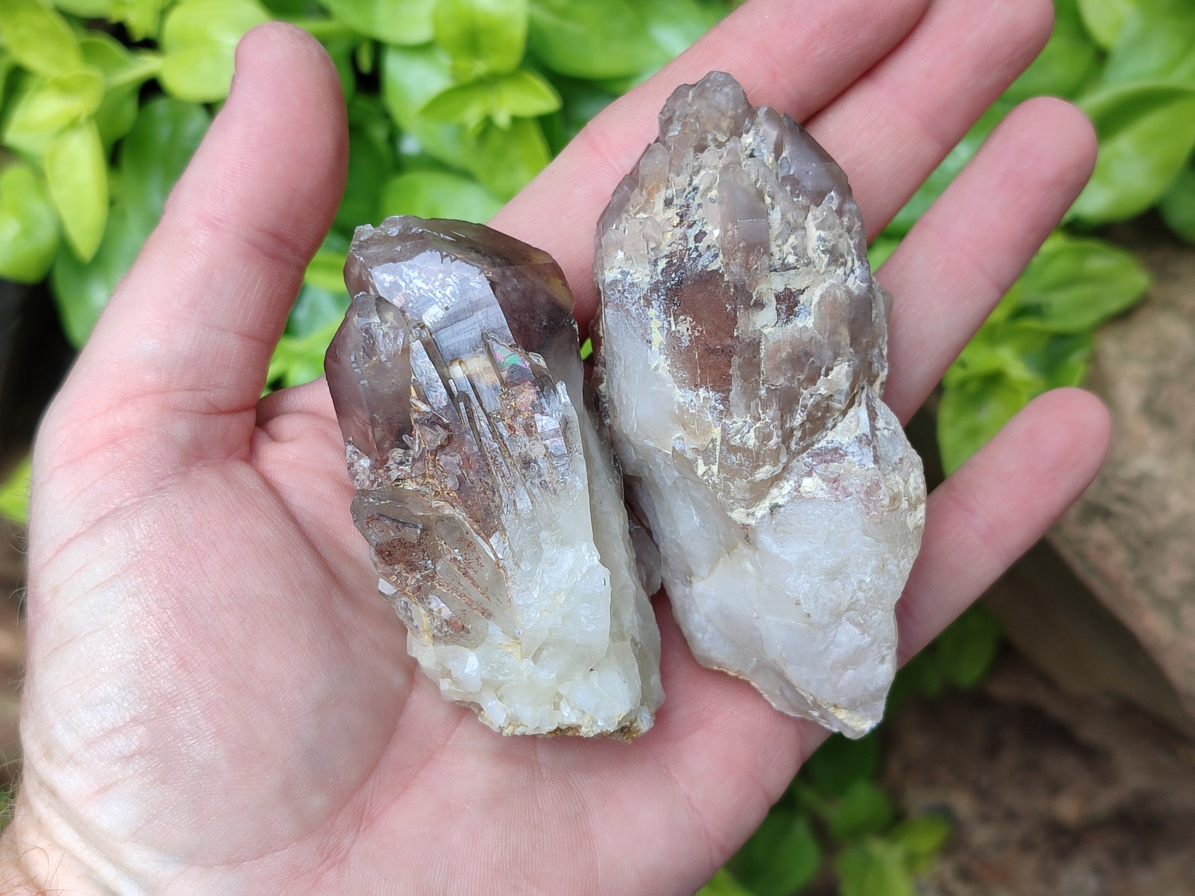 Natural Red Hematoid Quartz Clusters x 7 From Karoi, Zimbabwe - Toprock Gemstones and Minerals 