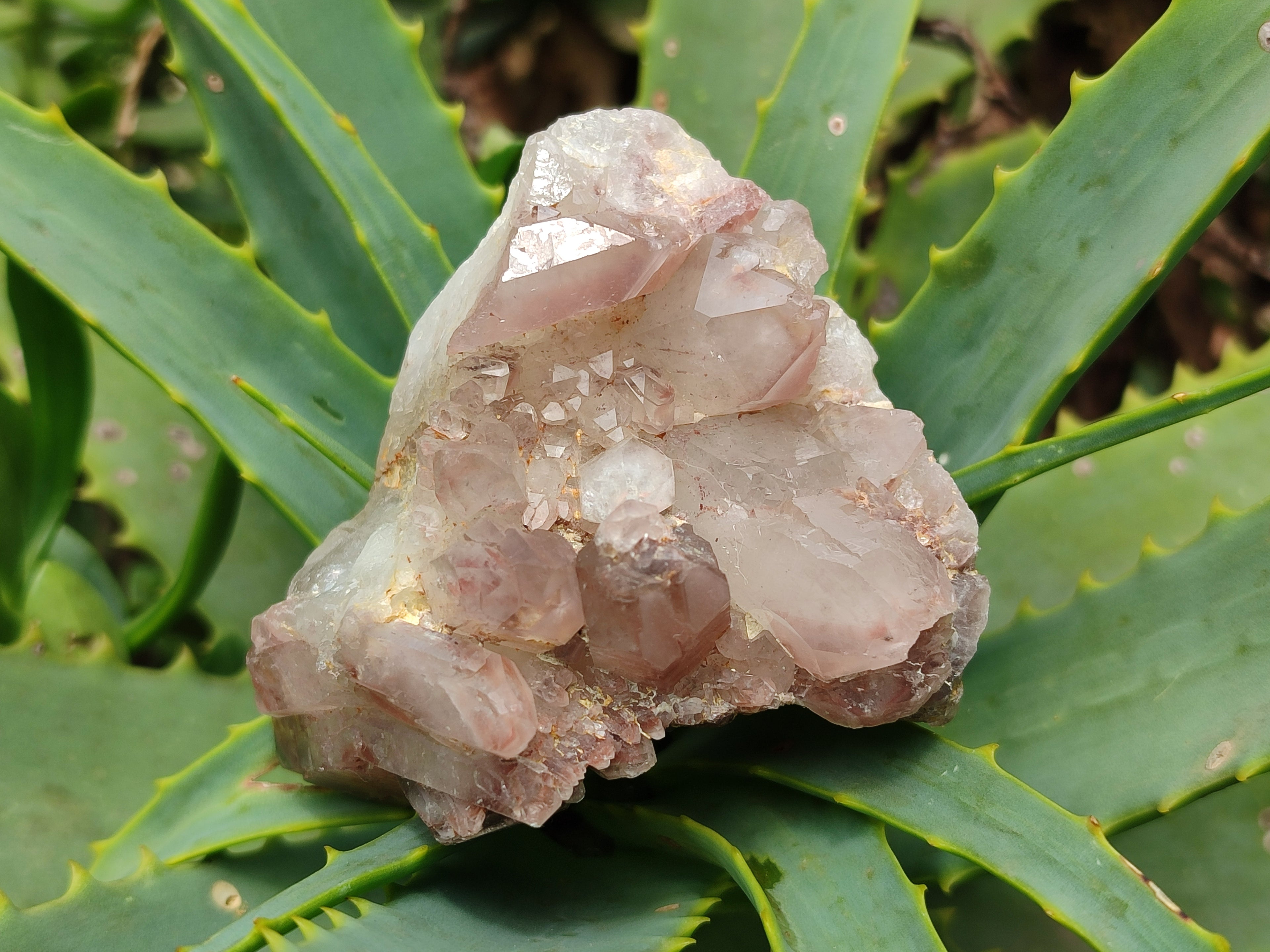 Natural Red Hematoid Quartz Clusters x 7 From Karoi, Zimbabwe - Toprock Gemstones and Minerals 