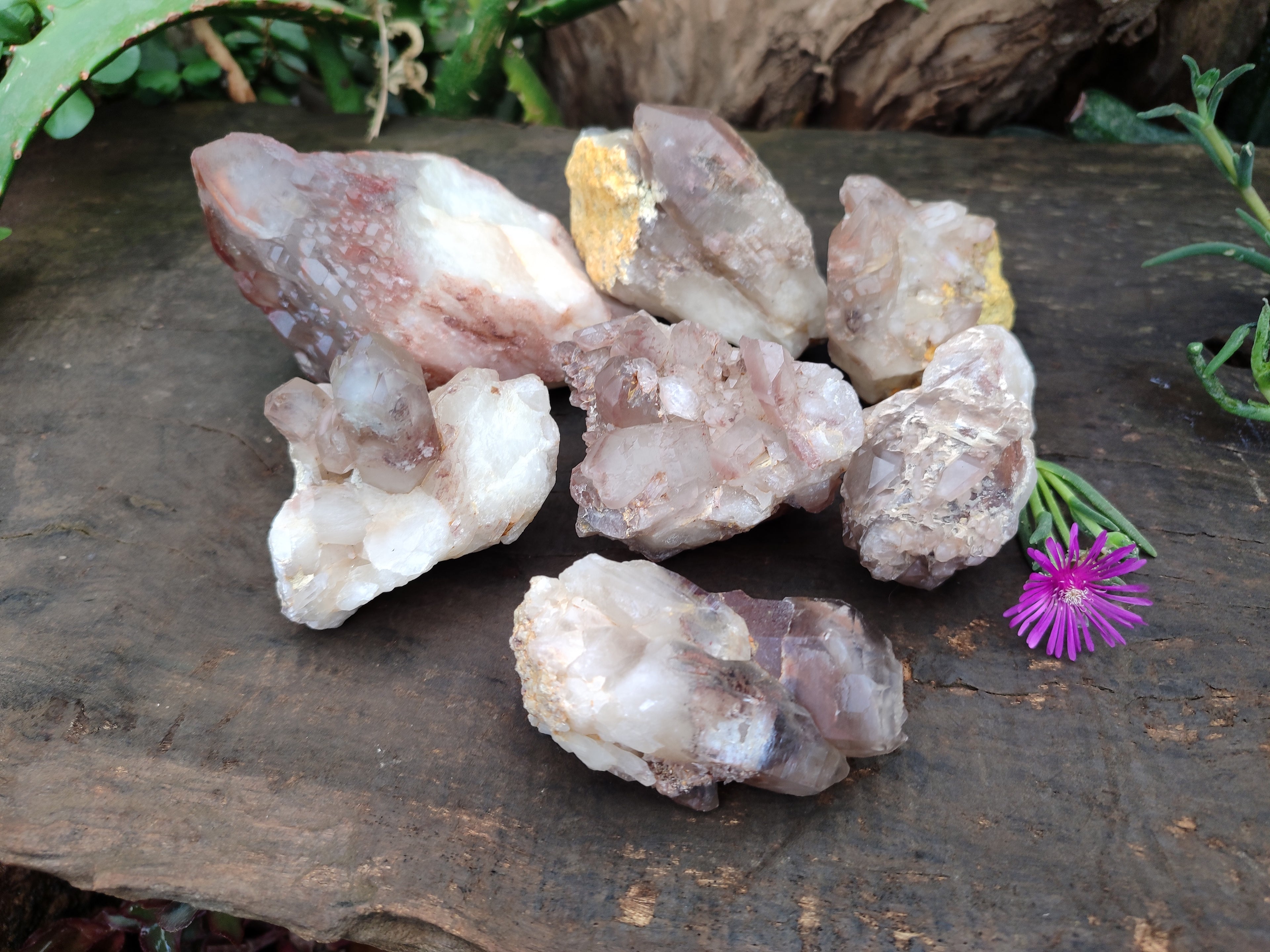 Natural Red Hematoid Quartz Clusters x 7 From Karoi, Zimbabwe - Toprock Gemstones and Minerals 