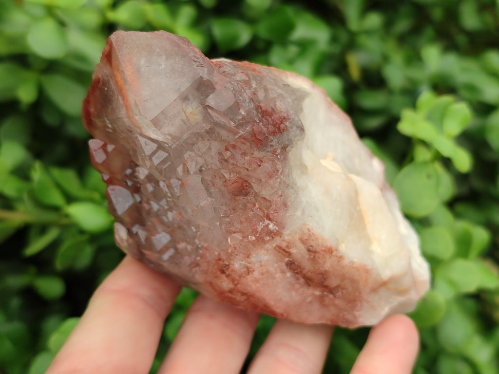 Natural Red Hematoid Quartz Clusters x 7 From Karoi, Zimbabwe - Toprock Gemstones and Minerals 