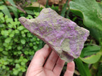 Natural Stichtite Specimens x 4 From Barberton, South Africa - Toprock Gemstones and Minerals 