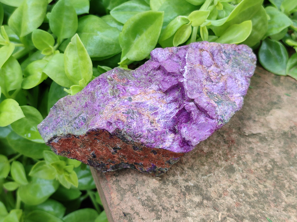 Natural Stichtite Specimens x 4 From Barberton, South Africa - Toprock Gemstones and Minerals 