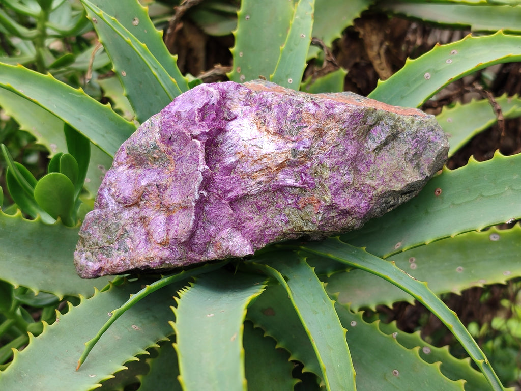 Natural Stichtite Specimens x 4 From Barberton, South Africa - Toprock Gemstones and Minerals 