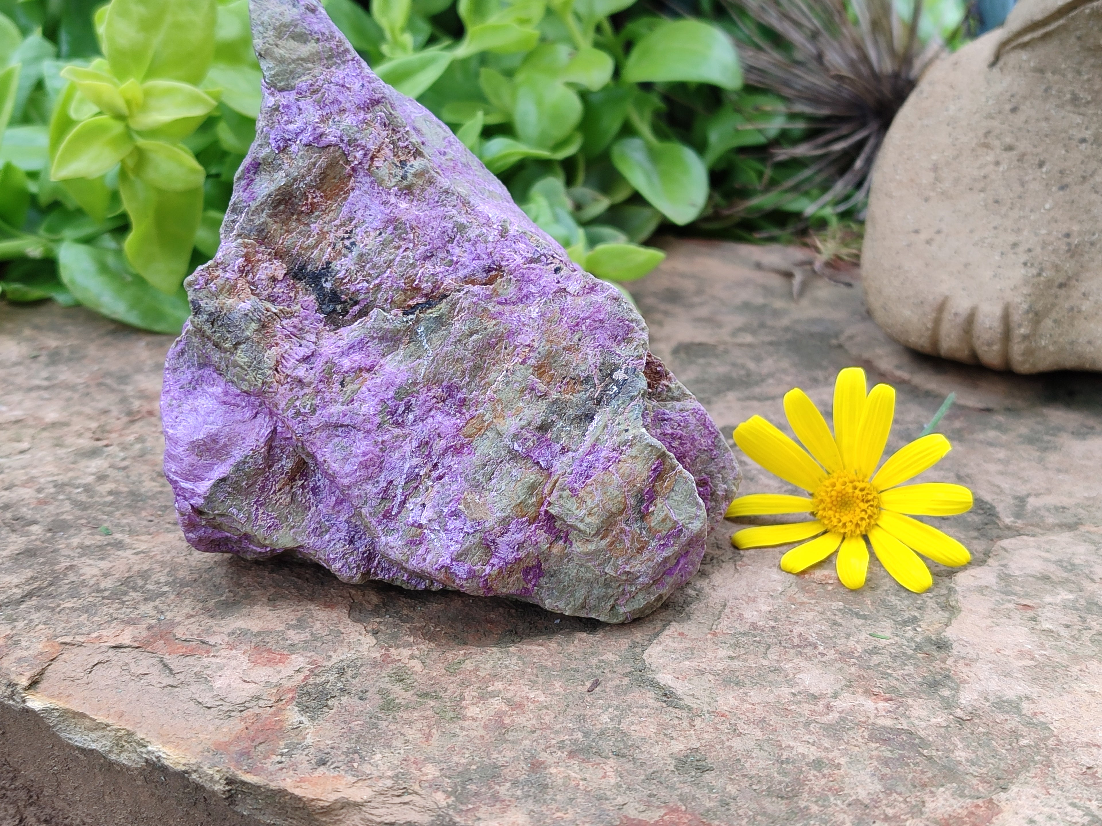 Natural Stichtite Specimens x 4 From Barberton, South Africa - Toprock Gemstones and Minerals 
