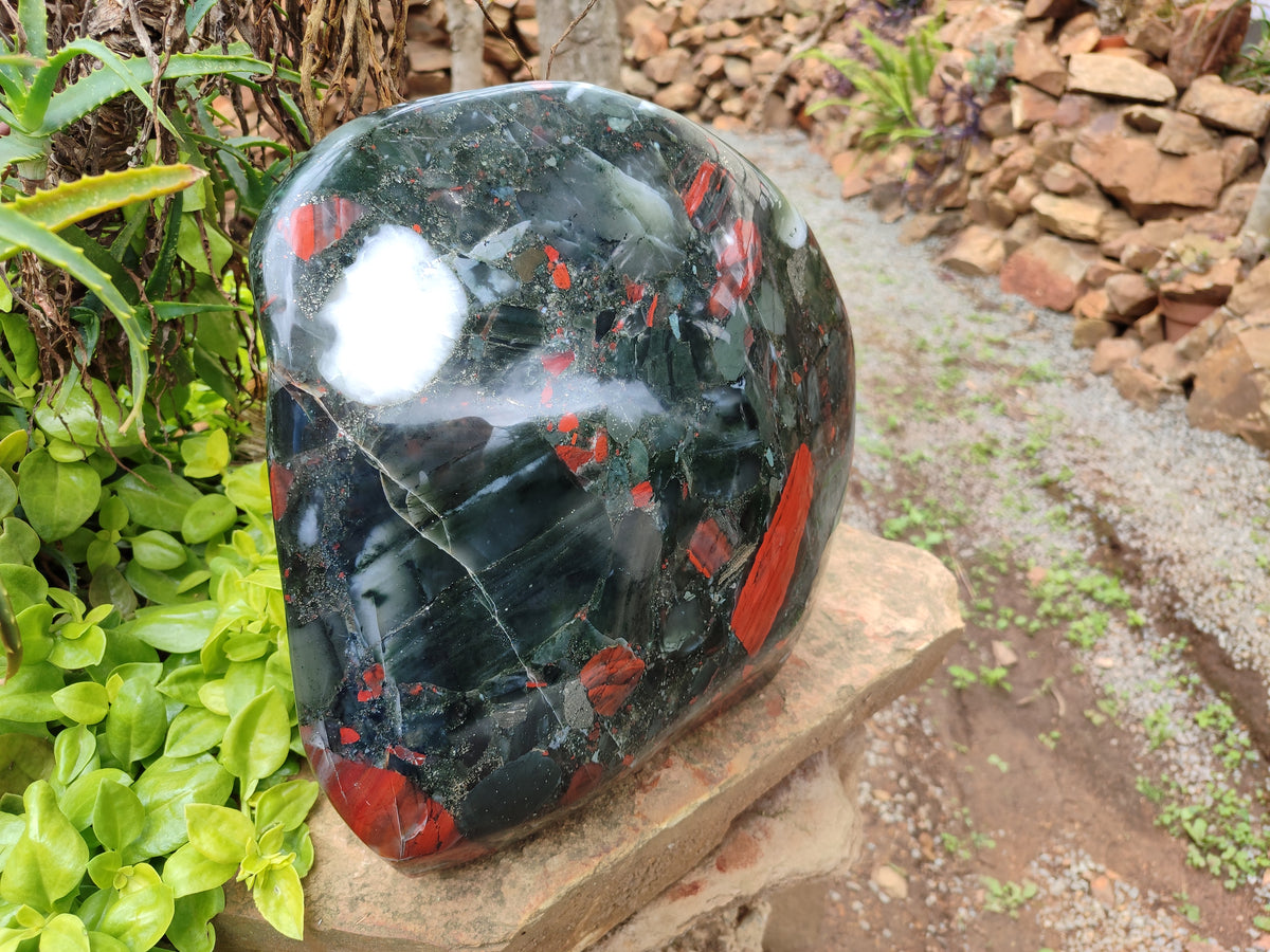 Polished Bloodstone Display Piece x 1 From Swaziland - Toprock Gemstones and Minerals 