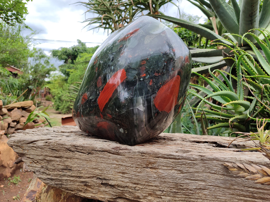 Polished Bloodstone Display Piece x 1 From Swaziland - Toprock Gemstones and Minerals 