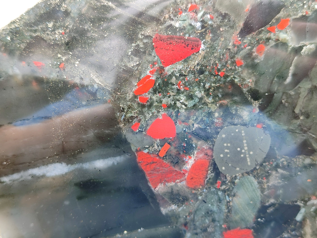 Polished Bloodstone Display Piece x 1 From Swaziland - Toprock Gemstones and Minerals 