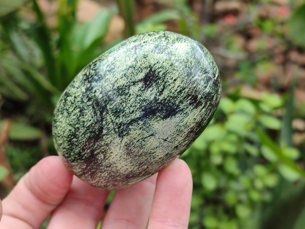 Polished Leopard Stone Palm Stones x 6 From Zimbabwe - Toprock Gemstones and Minerals 