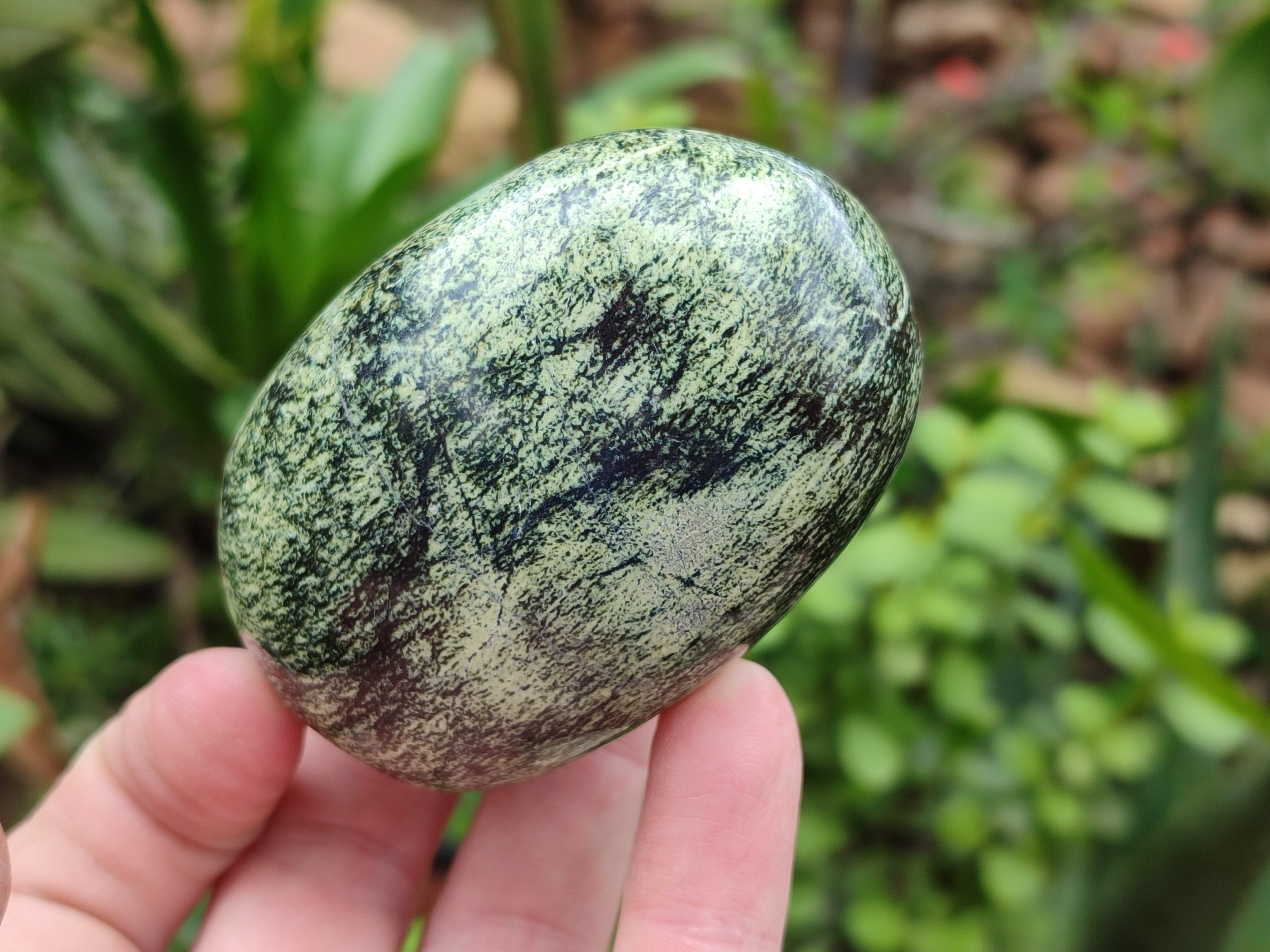 Polished Leopard Stone Palm Stones x 6 From Zimbabwe - Toprock Gemstones and Minerals 