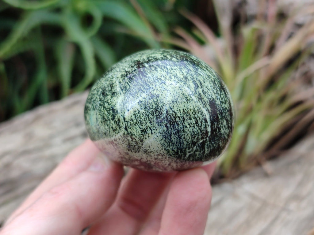 Polished Leopard Stone Palm Stones x 6 From Zimbabwe - Toprock Gemstones and Minerals 