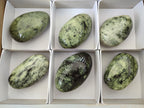 Polished Leopard Stone Palm Stones x 6 From Zimbabwe - Toprock Gemstones and Minerals 