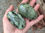 Polished Leopard Stone Palm Stones x 6 From Zimbabwe - Toprock Gemstones and Minerals 