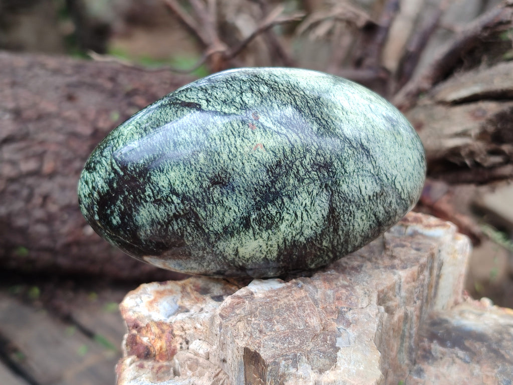 Polished Leopard Stone Palm Stones x 6 From Zimbabwe - Toprock Gemstones and Minerals 