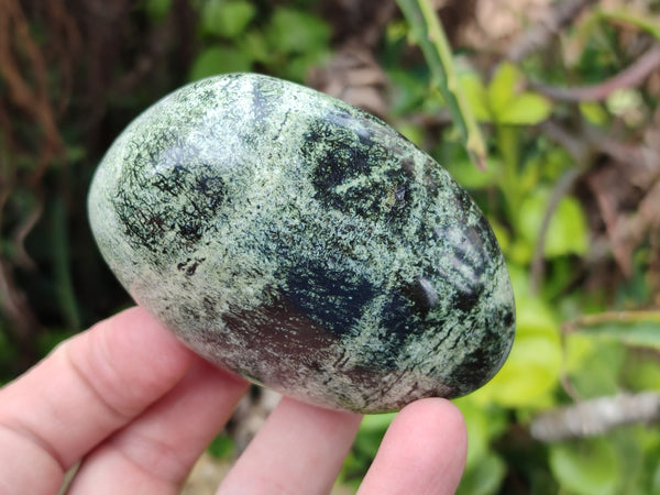 Polished Leopard Stone Palm Stones x 6 From Zimbabwe - Toprock Gemstones and Minerals 