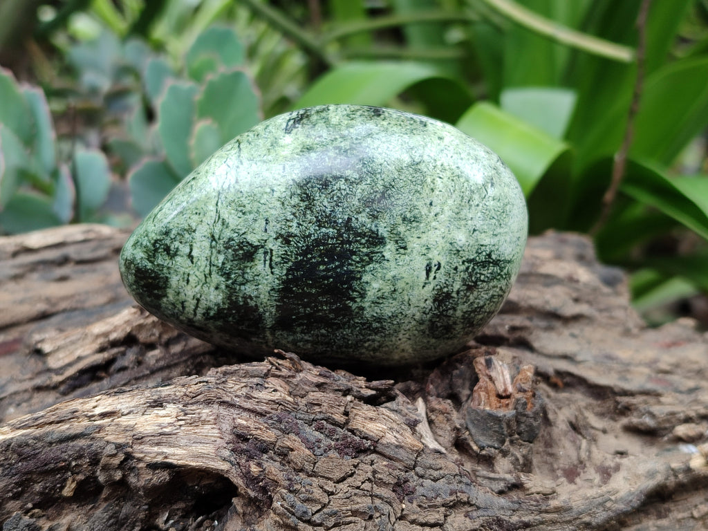 Polished Leopard Stone Palm Stones x 6 From Zimbabwe - Toprock Gemstones and Minerals 