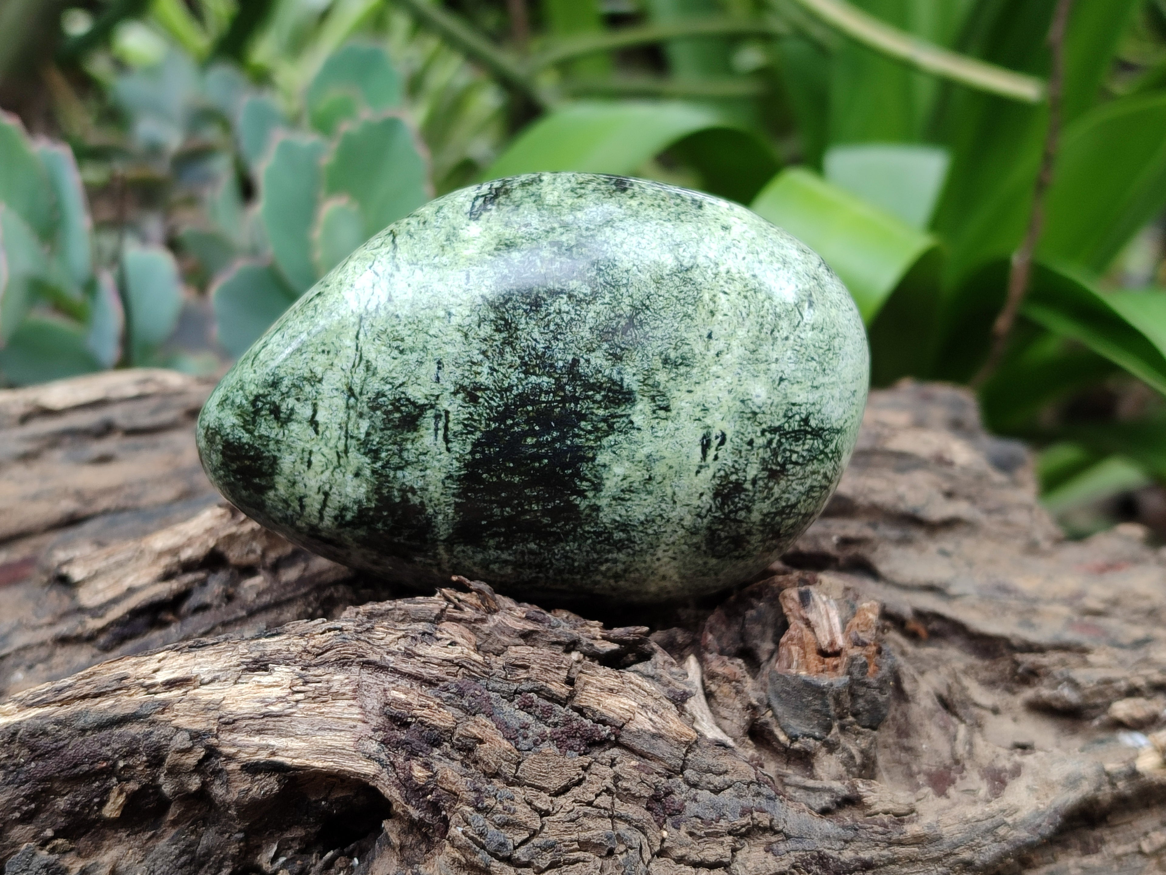 Polished Leopard Stone Palm Stones x 6 From Zimbabwe - Toprock Gemstones and Minerals 