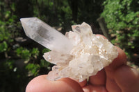 Natural Mixed Quartz Clusters x 35 From Madagascar - Toprock Gemstones and Minerals 