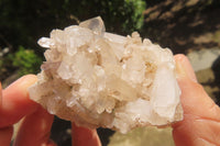 Natural Mixed Quartz Clusters x 35 From Madagascar - Toprock Gemstones and Minerals 