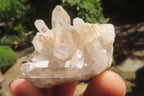 Natural Mixed Quartz Clusters x 35 From Madagascar - Toprock Gemstones and Minerals 