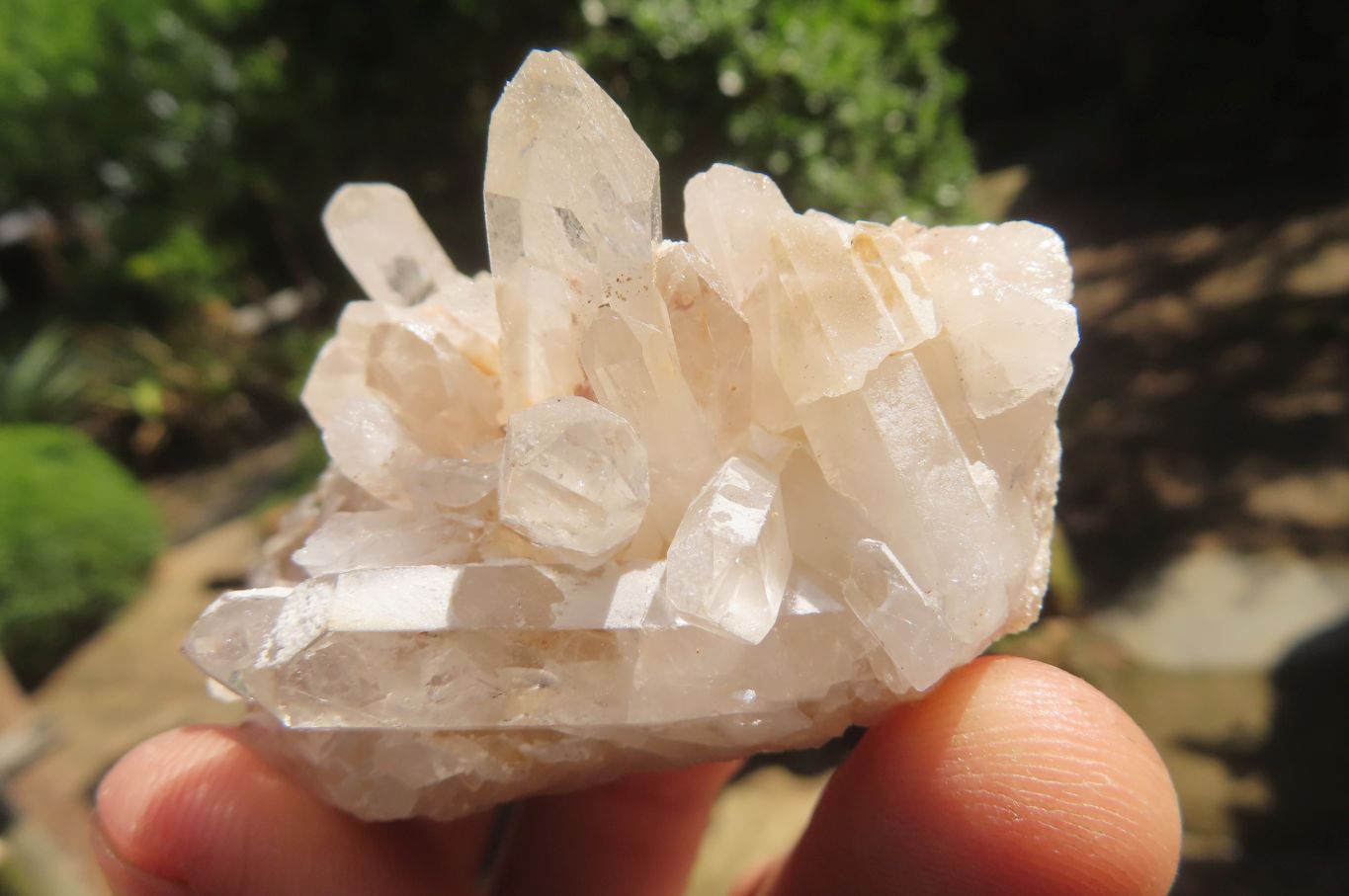 Natural Mixed Quartz Clusters x 35 From Madagascar - Toprock Gemstones and Minerals 