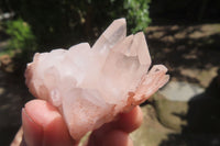 Natural Mixed Quartz Clusters x 35 From Madagascar - Toprock Gemstones and Minerals 