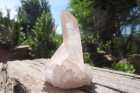 Natural Mixed Quartz Clusters x 35 From Madagascar - Toprock Gemstones and Minerals 