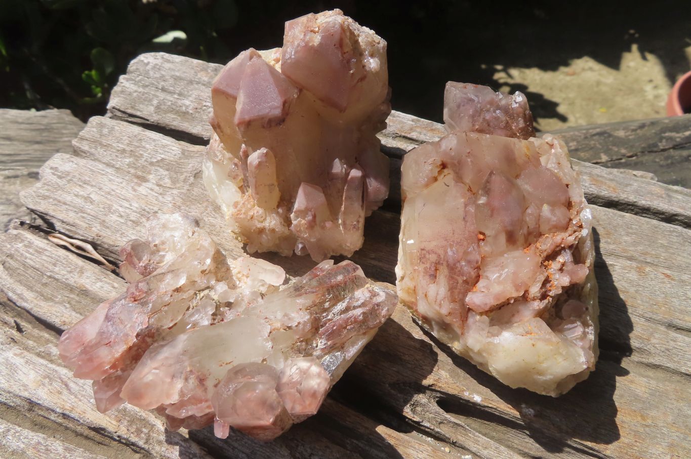Natural Red Hematoid Quartz Clusters x 6 From Karoi, Zimbabwe - Toprock Gemstones and Minerals 