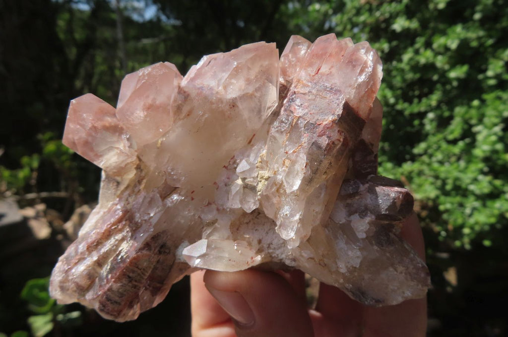 Natural Red Hematoid Quartz Clusters x 6 From Karoi, Zimbabwe - Toprock Gemstones and Minerals 
