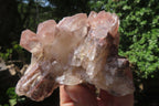 Natural Red Hematoid Quartz Clusters x 6 From Karoi, Zimbabwe - Toprock Gemstones and Minerals 