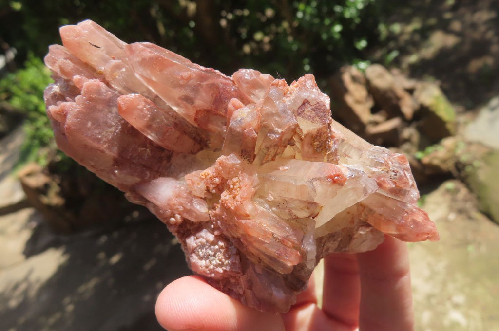 Natural Red Hematoid Quartz Clusters x 6 From Karoi, Zimbabwe - Toprock Gemstones and Minerals 