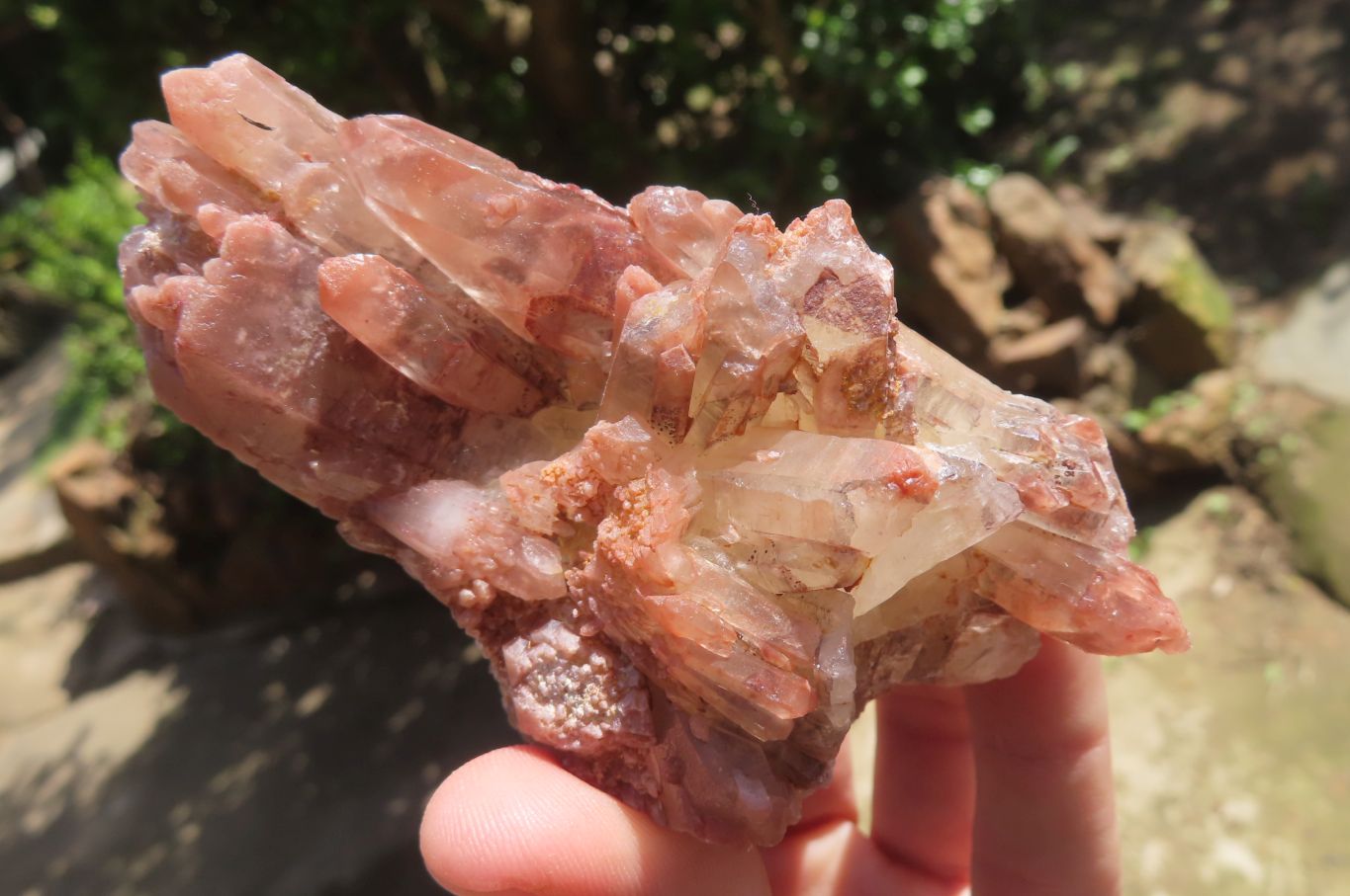 Natural Red Hematoid Quartz Clusters x 6 From Karoi, Zimbabwe - Toprock Gemstones and Minerals 