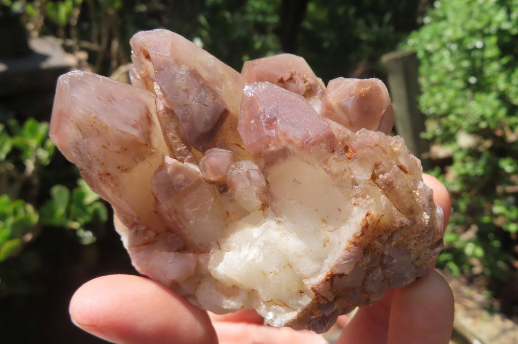Natural Red Hematoid Quartz Clusters x 6 From Karoi, Zimbabwe - Toprock Gemstones and Minerals 