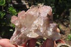 Natural Red Hematoid Quartz Clusters x 6 From Karoi, Zimbabwe - Toprock Gemstones and Minerals 