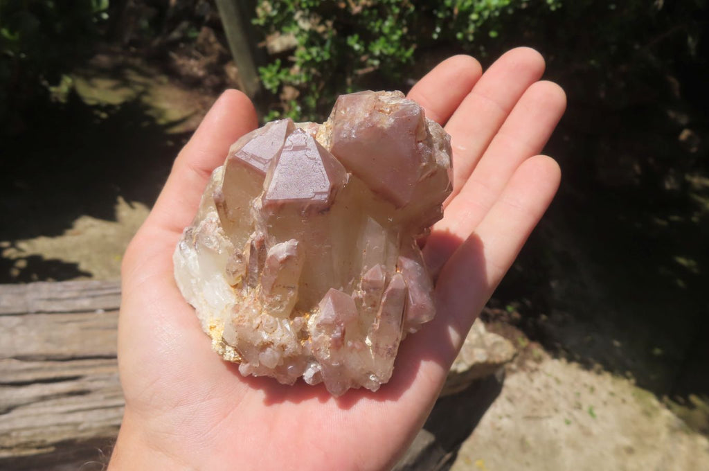 Natural Red Hematoid Quartz Clusters x 6 From Karoi, Zimbabwe - Toprock Gemstones and Minerals 